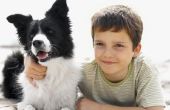 Hoe leren kinderen om samen met de honden vanaf een jonge leeftijd