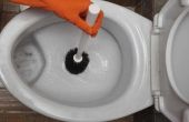 Hoe schoon de schimmel onder de rand van het Toilet Bowl