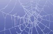 Hoe maak je een Spiderweb haak