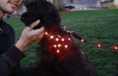 DIY LED hond Vest met riem
