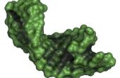 De structuur & functie van mRNA