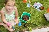 Hoe om kinderen uit te leggen hoe bomen en planten groeien