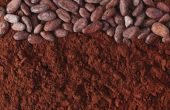 Wat Is Alkalized cacao poeder?