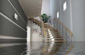 Als mijn appartement overstromingen doet de verhuurder moeten hebben andere huisvesting opties?