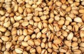 Hoe gebraden rauwe pistache noten