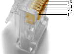 Wat Is de kleurcode voor een Ethernet-kabel?