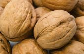 De voordelen van het eten van zwarte walnoten