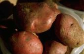 Gegrilde rode aardappels in folie