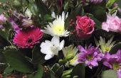 De goedkoopste bloemen voor elke maand van een jaar