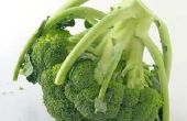 Hoe maak je een Broccoli kostuum