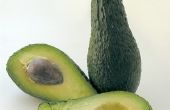 Voedingswaarde van avocado 's