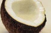 How to Make Coconut Cream van verse noten