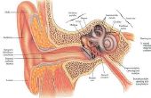 Hoe de behandeling van Tinnitus zonder Drugs