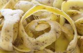 Aardappel schillen, kunnen worden gebruikt als meststof?