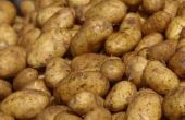 Hoe te warmen geroosterde aardappel partjes