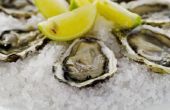Rauwe oesters voeding