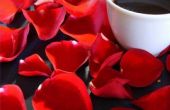 Over het voeden van rozen koffie gronden