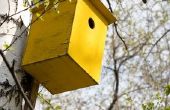 Hoe het gat ingang om kleiner te maken voor een Bluebird huis