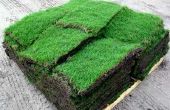 How to Plant Sod