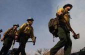 Forest Service brandweerman salarissen