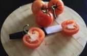 Hoe aan te scherpen een keramisch mes