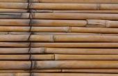 Hoe schoon de schimmel op bamboe
