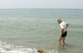 Hond vriendelijke stranden in Texas