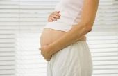 Groei van de buik tijdens de zwangerschap