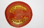 Kan je tomaten uit hele tomaten groeien?