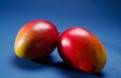 Wat zijn de verschillende soorten mango's?