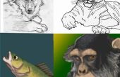 Hoe teken je realistisch dieren stapsgewijze