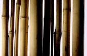 Hoe maak je een bamboe personeel