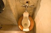 Welke oorzaken Toilet Bowl ringen?