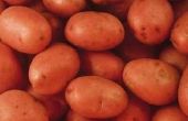 Hoe Frituur rode Bliss aardappelen