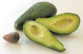 How to Grow avocado's in Missouri
