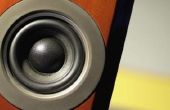 Hoe te verwijderen van het rooster van een luidspreker Bose 901