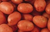 How to Cook gebraden Baby rode aardappel op een bakplaat
