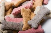 Hond behandelen recepten die kinderen kunnen maken