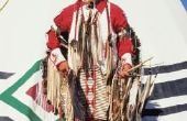 Wat voor soort leven leefden de Sioux Indianen?