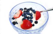 Hoe maak je zelfgemaakte yoghurt met elektrische yoghurt Maker