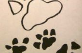 Hoe teken je hond Paw Prints
