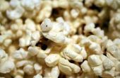 Instructies voor de Presto magnetron Popcorn Popper
