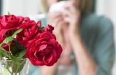 Hoe maak je bloemen uit papieren zakdoekje & pijp schoonmakers