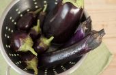 How to Cook aubergine