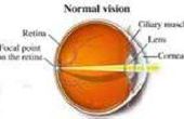 Wat zijn de functies van de Lens in het oog?