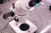 Wat zijn de voordelen van een ontleden Microscoop?