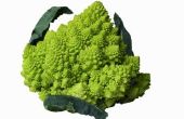 How to Grow Romanesco Broccoli