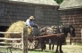 Voordelen van de Amish Lifestyle & nadelen