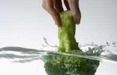 How to Grow Hydroponic Broccoli