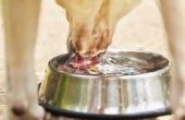 Hoeveel Water moet een hond drinken in een dag?